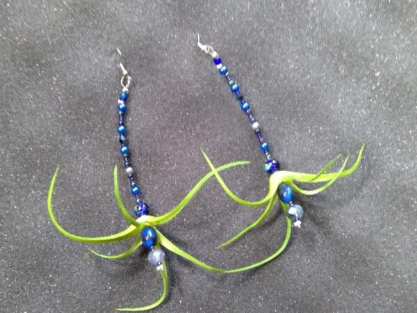 Air plant Electric Blue Earrings