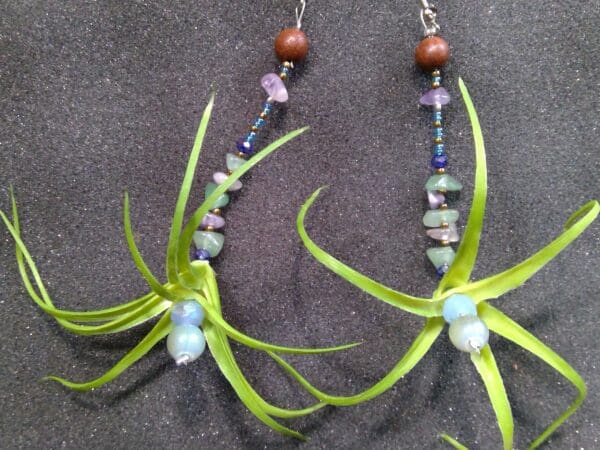 Air Plant Grounded Earth Earrings