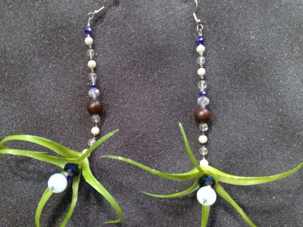 Air plant Mala inspire Earrings - Image 2