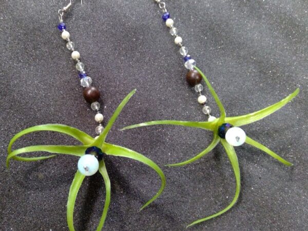 Air plant Mala inspire Earrings