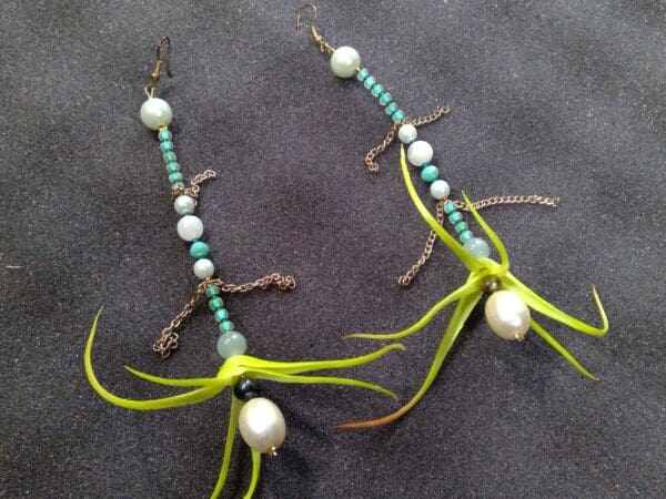 Airplant Pearl Green Chain Earrings